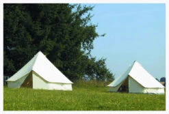 Tortuga Missouri Mit BoWa