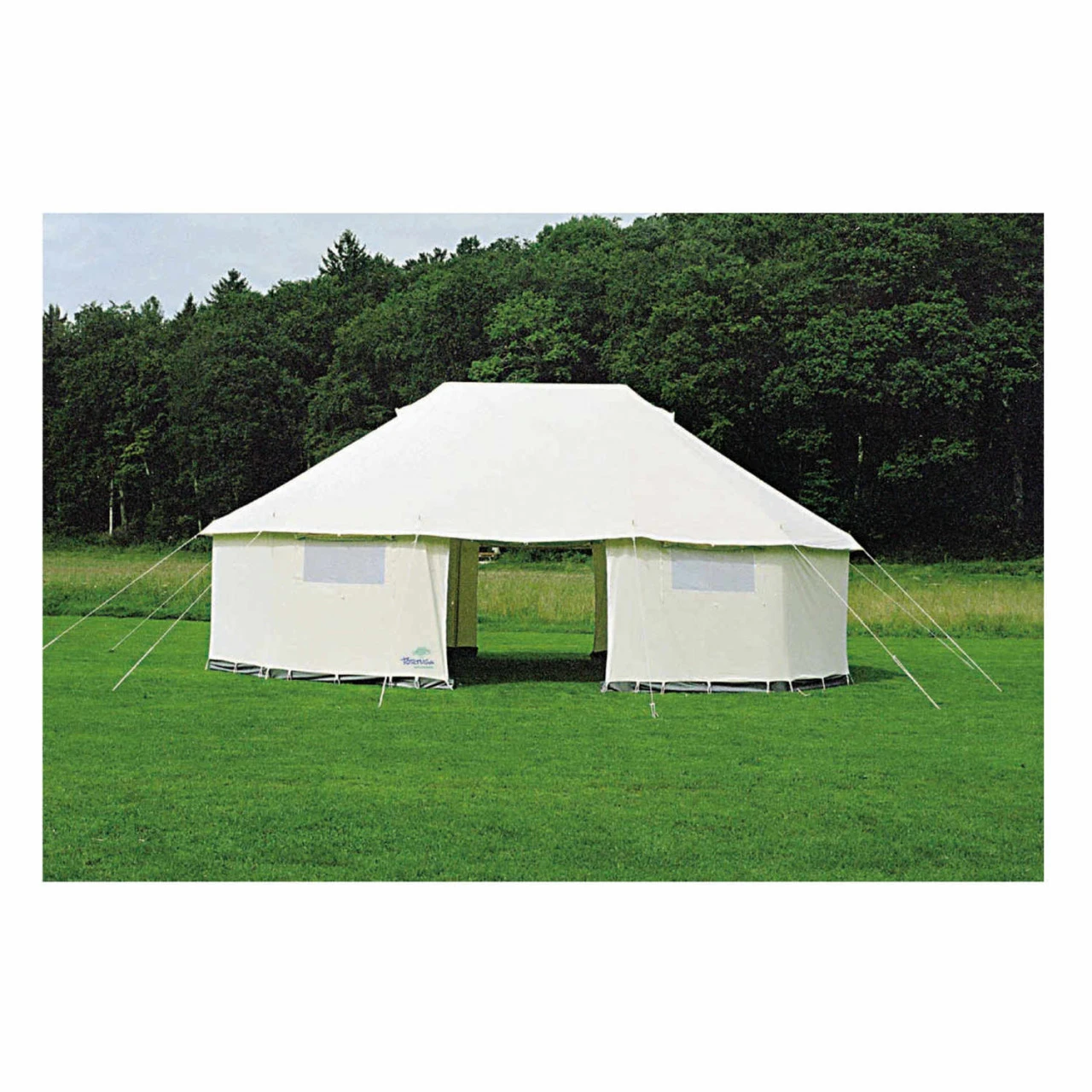 Tortuga Tennessee Bodendecke 3 Tortuga Tennessee Bodendecke