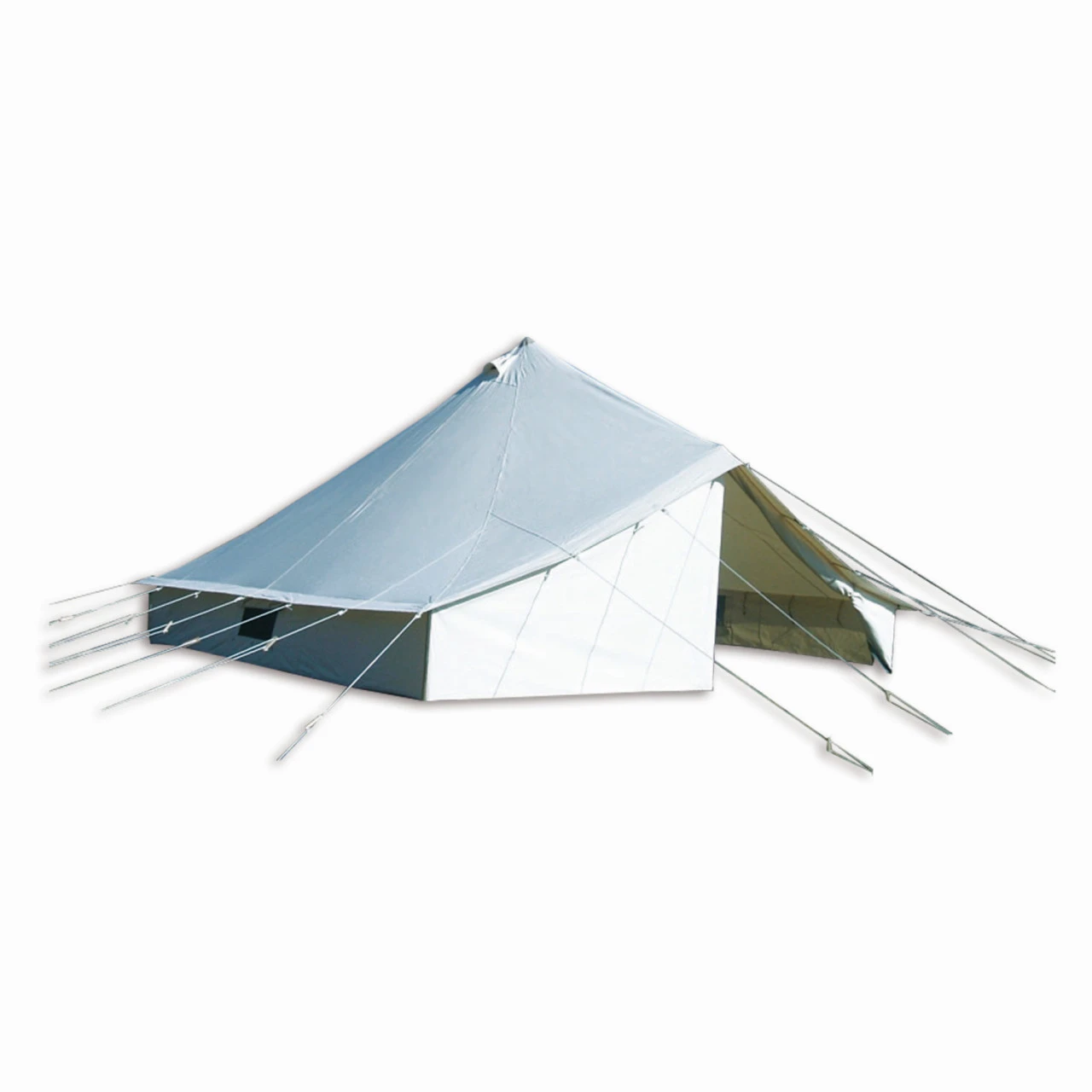 Tortuga Gobi SY 3 Tortuga Gobi SY